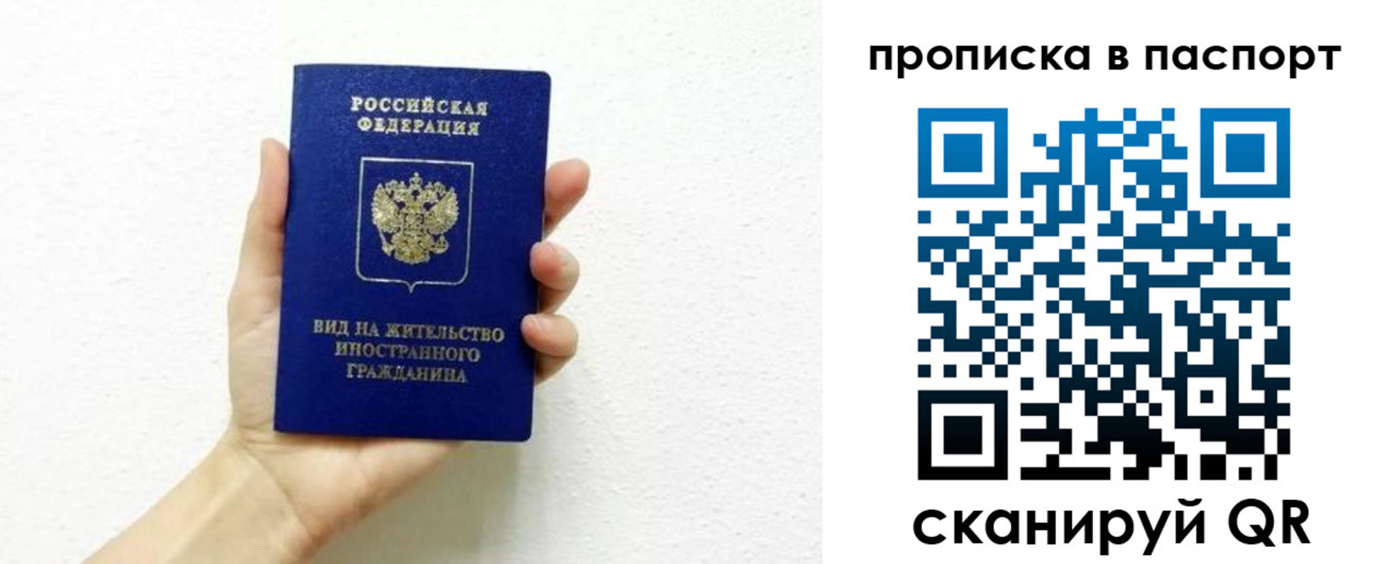 прописка законно в Димитровграде